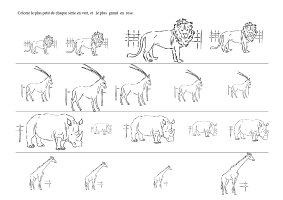 Animaux_du_plus_petit_au_plus_grand.gif (62225 octets)