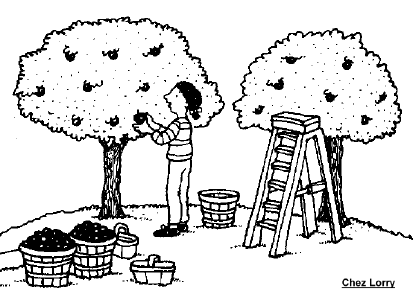 coloriage_cueillette_pomme.gif (14746 octets)