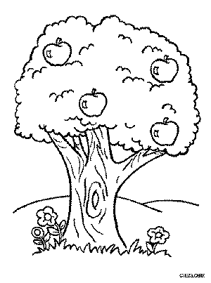 coloriage_pommier.gif (14098 octets)