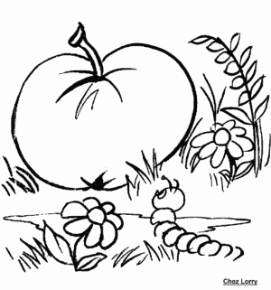 coloriage_ver_pomme.gif (27251 octets)