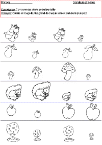 MGautomne_grandeurs_et_formes_Comparer_des_objets_selon_leur_taille.gif (25655 octets)