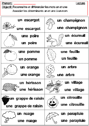 MGautomne_lecture_Associer_les_determinants_un_et_une_a_un_nom.gif (48951 octets)