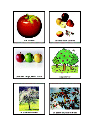 imagier_de_la_pomme_1.gif (411539 octets)