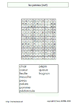 pommes_mat.gif (17864 octets)