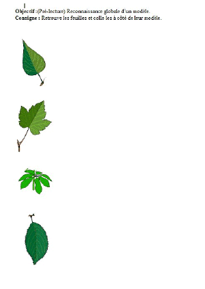 reconnaitre_modele.gif (31527 octets)