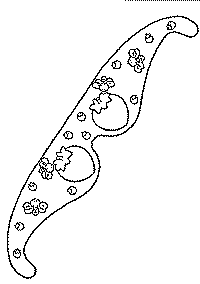 carnaval_lunette_abeille_blanc.gif (7848 octets)