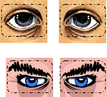 lunettes.gif (61404 octets)
