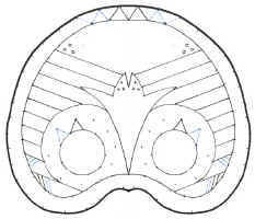 graphi6.jpg (79883 octets)