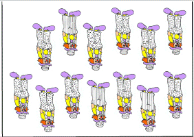 jeu_carnaval_plateau.gif (355499 octets)