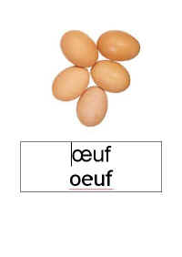 Referentiel_oeuf.jpg (15748 octets)