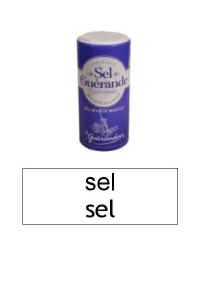 Referentiel_sel.jpg (14450 octets)