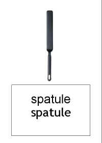 Referentiel_spatule.jpg (14831 octets)