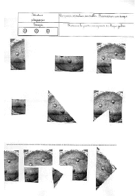 galette_part_manquante.gif (64460 octets)
