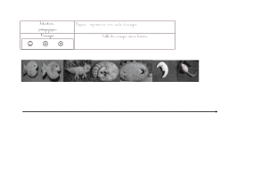 j_aime_la_galette_Espace.gif (55382 octets)