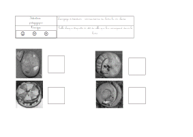 j_aime_la_galette_connaissance_de_l_histoire.gif (78927 octets)