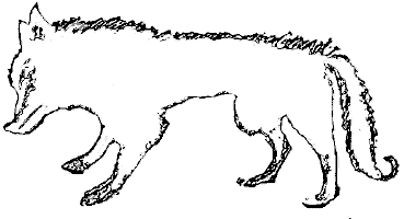 roigabaritloupblanc.gif (8201 octets)