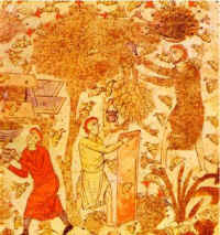 Moyen_age_alimentation6.jpg (84701 octets)