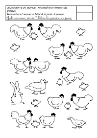 Chercher_poussins2.gif (55922 octets)