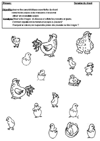 Chercher_poussins.gif (41218 octets)