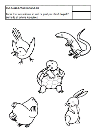 Qui_ne_pond_pas_oeuf.gif (44885 octets)