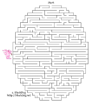 5.gif (6543 octets)